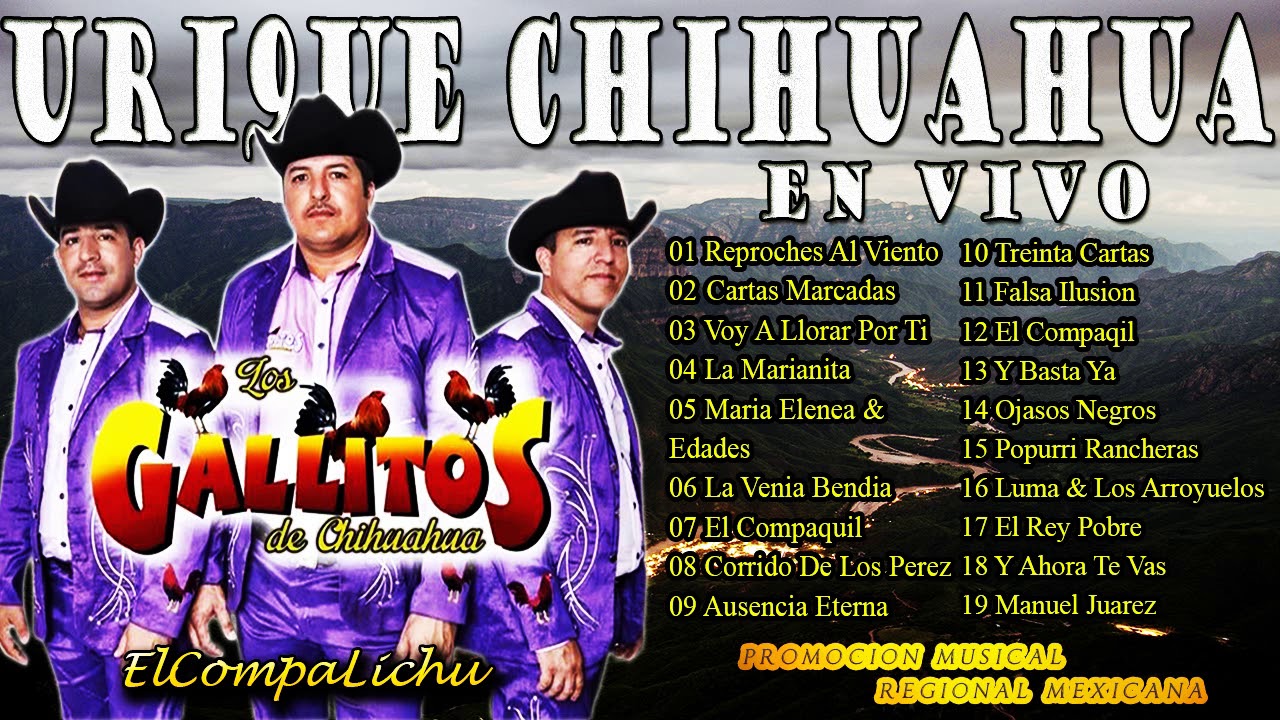 Los Gallitos de Chihuahua - Disco Completo (Urique Chihuahua En Vivo)