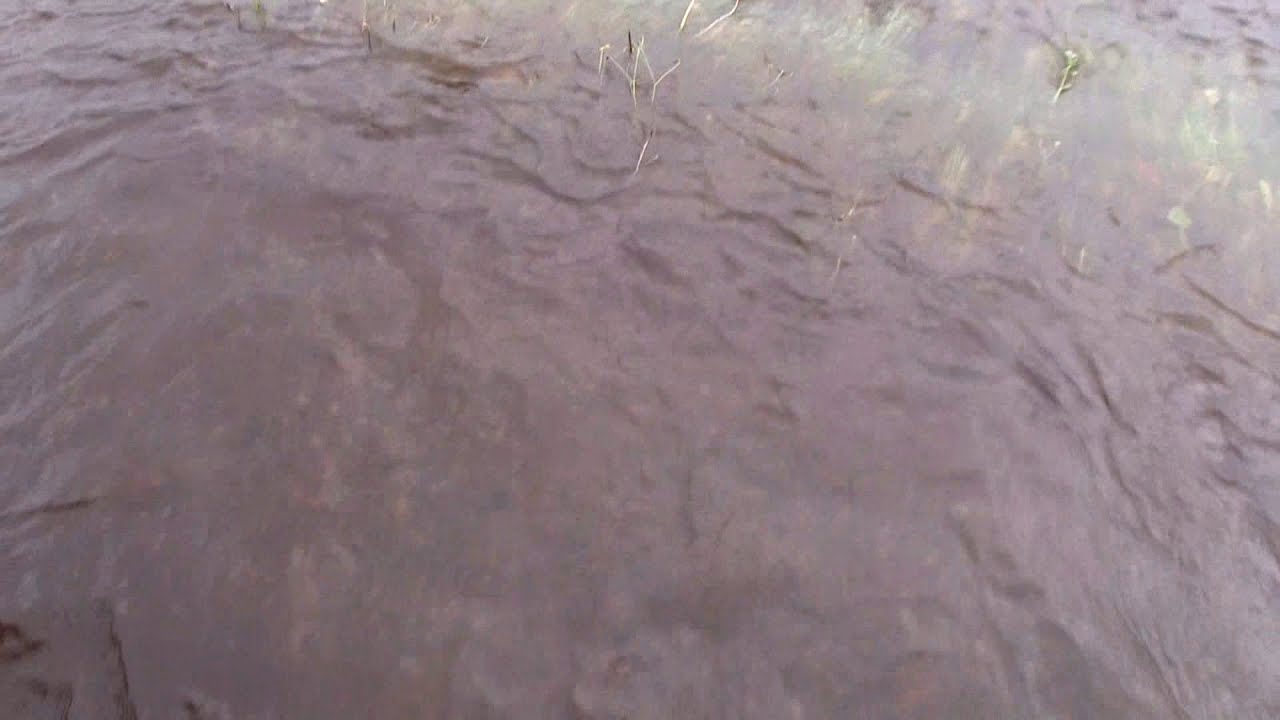 Flood - Kauhajoen tulvat Jokimaassa 15.08.2016