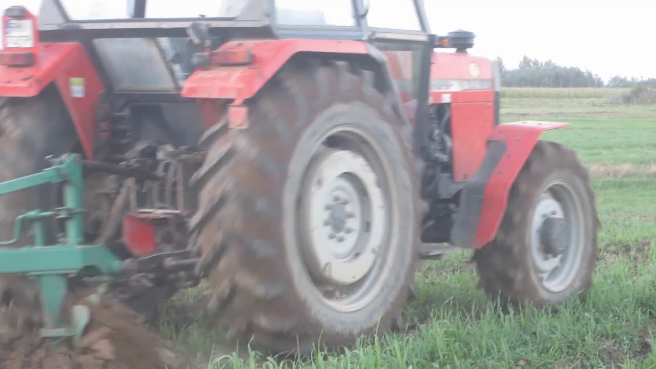 Obornik i orka nowym nabytkiem !!!