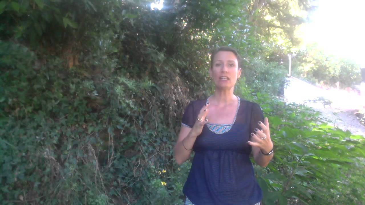 SEANCE DE SOPHROLOGIE : SE LIBERER DE SES DEPENDANCES