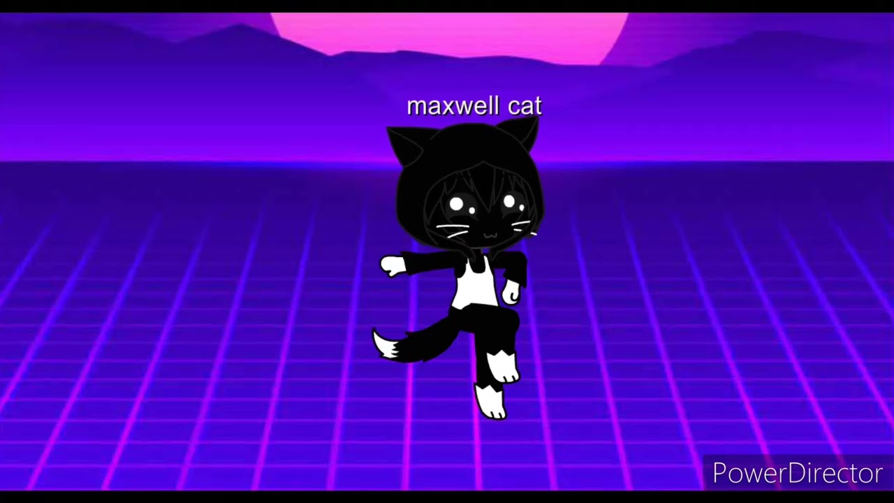 bloody mary wednesday x maxwell cat