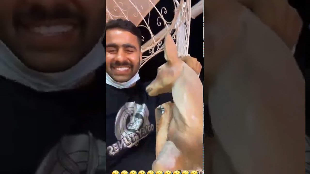 اعتقدت أن أرباب لن يرى🤣🤣🤣الكوشه     مقلب هذا يشمل😂abduuu_21