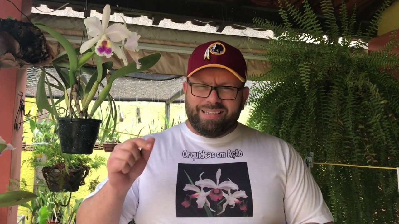 Criador do adubo FERT PLUS mostra como adubar suas orquídeas | ORQUÍDEAS EM AÇÃO !