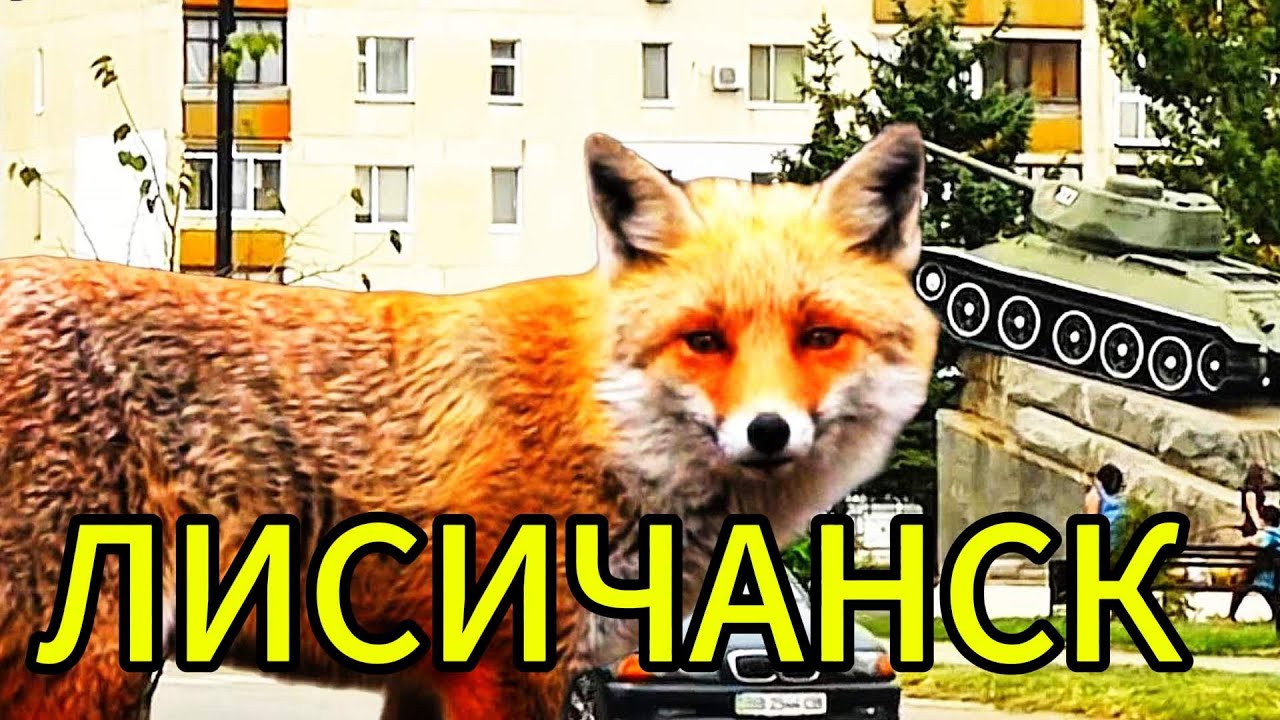 ЛИСИЧАНСК. Ярослав Ваулин & Renome music studio. НОВИНКА! Клипы 2024. ХИТЫ