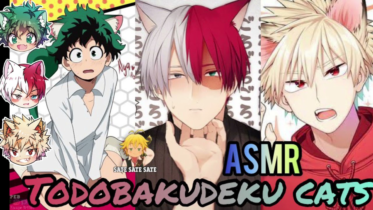 TODOBAKUDEKU CATS X Listener ASMR ||| ROLEPLAY | KAI JOESTAR
