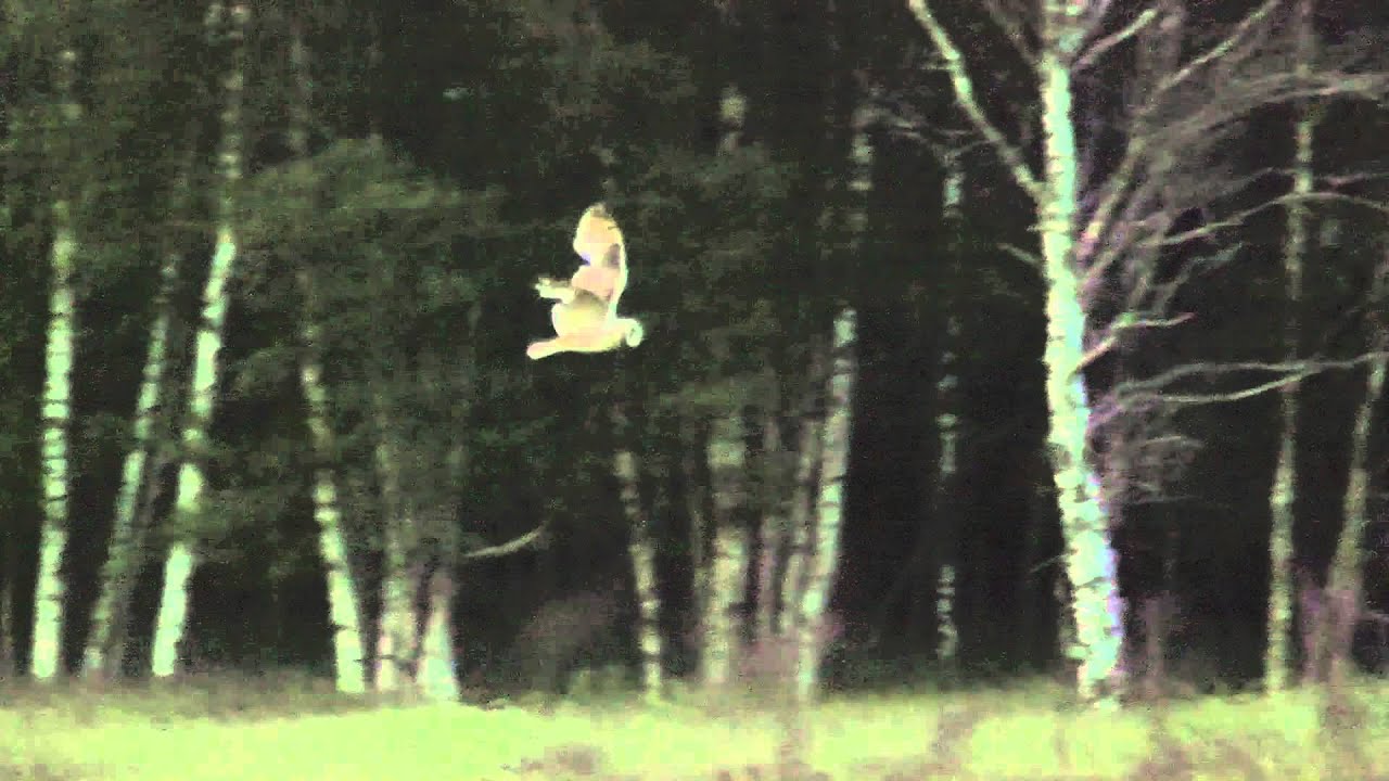 Jorduggla   Uvängen  Sorunda   1080p