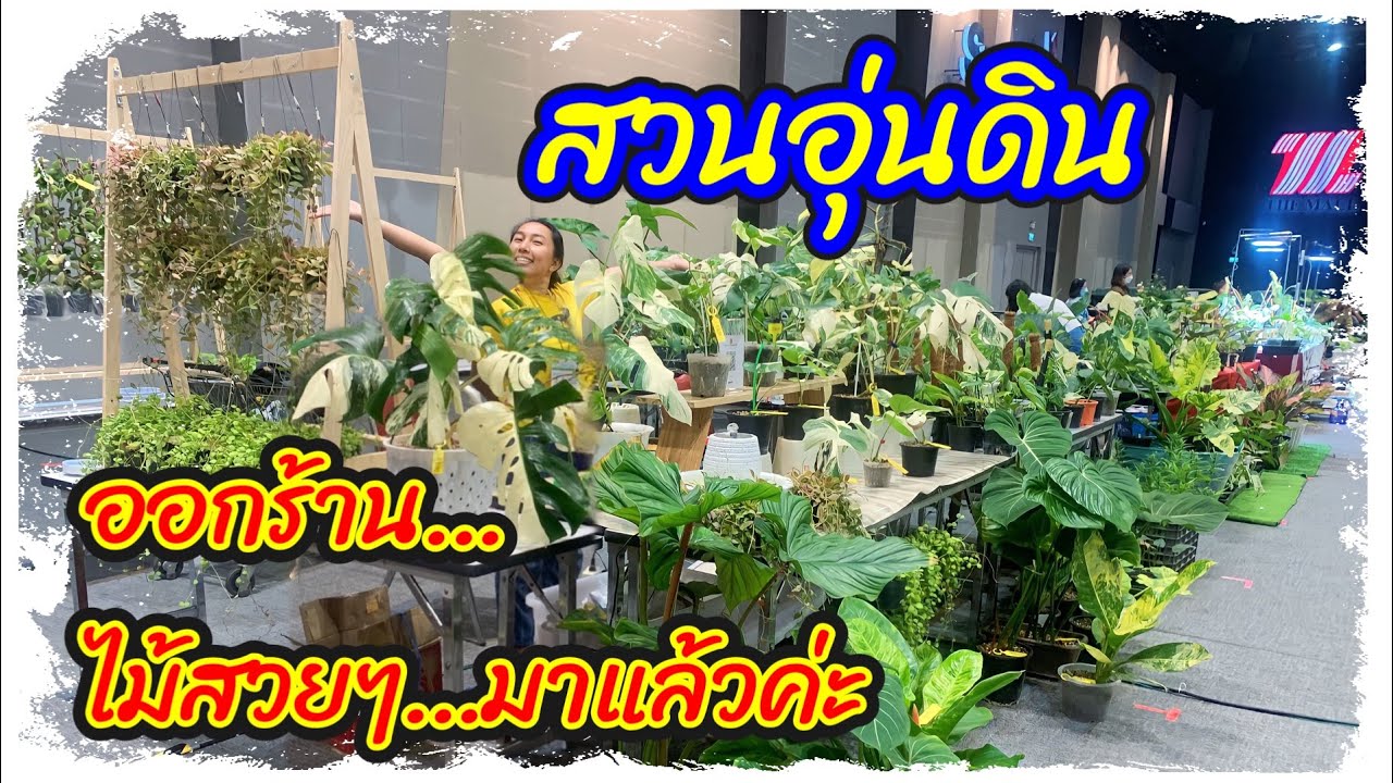 ชมไม้สวยๆ❤️ราคาดีงามกับสวนอุ่นดิน