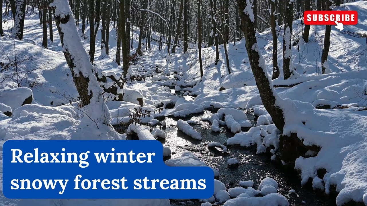 Relaxing winter snowy forest streams | Winter ambience | 50 minutes, 6 scenes with nature sounds