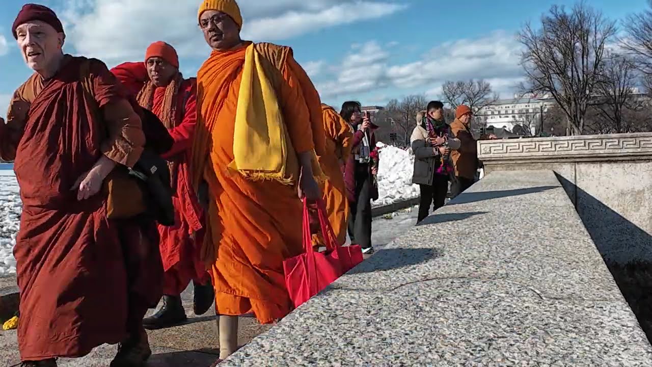 Aloka is Happy When Monks Arrive in Washington, DC!