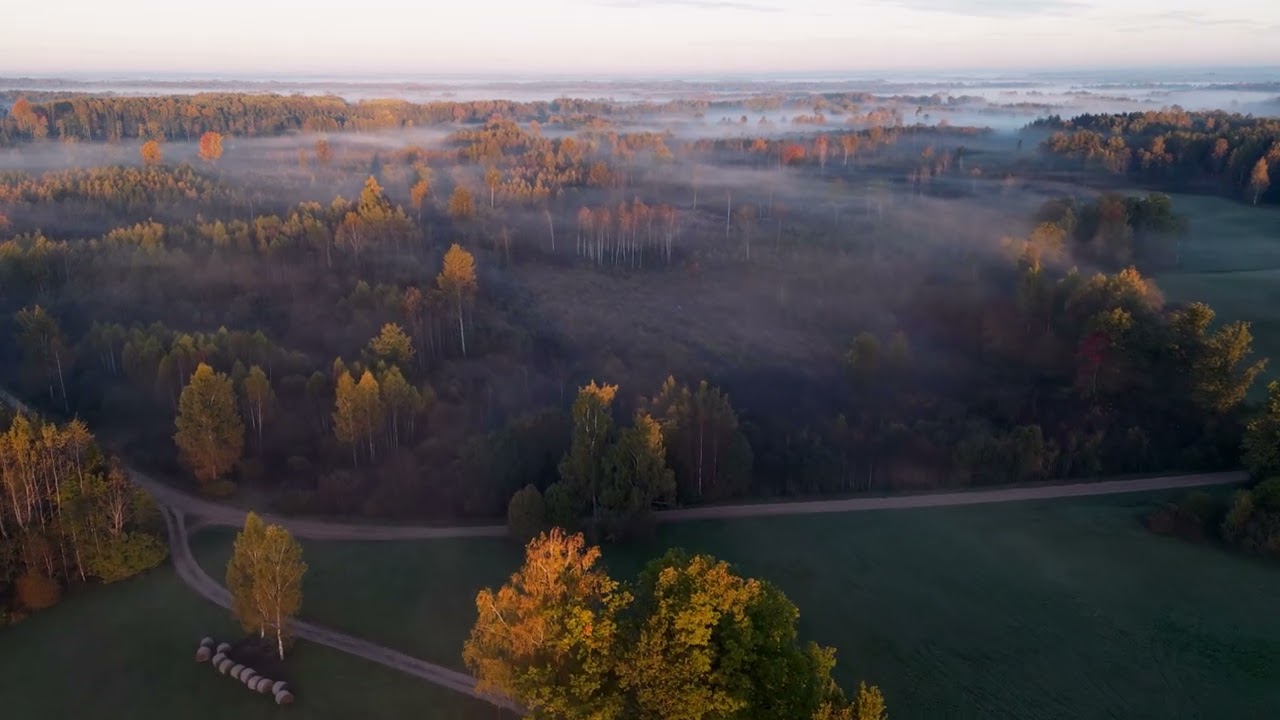 Latvijas ainavas , oktobris Liepkalnē , Ērgļi 4K