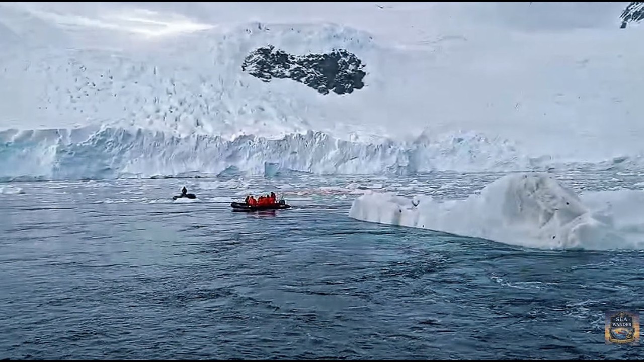 Beautiful in White | #wanderlust #antarctica #travel #cruise #relaxing #4k #viral #video #youtube 