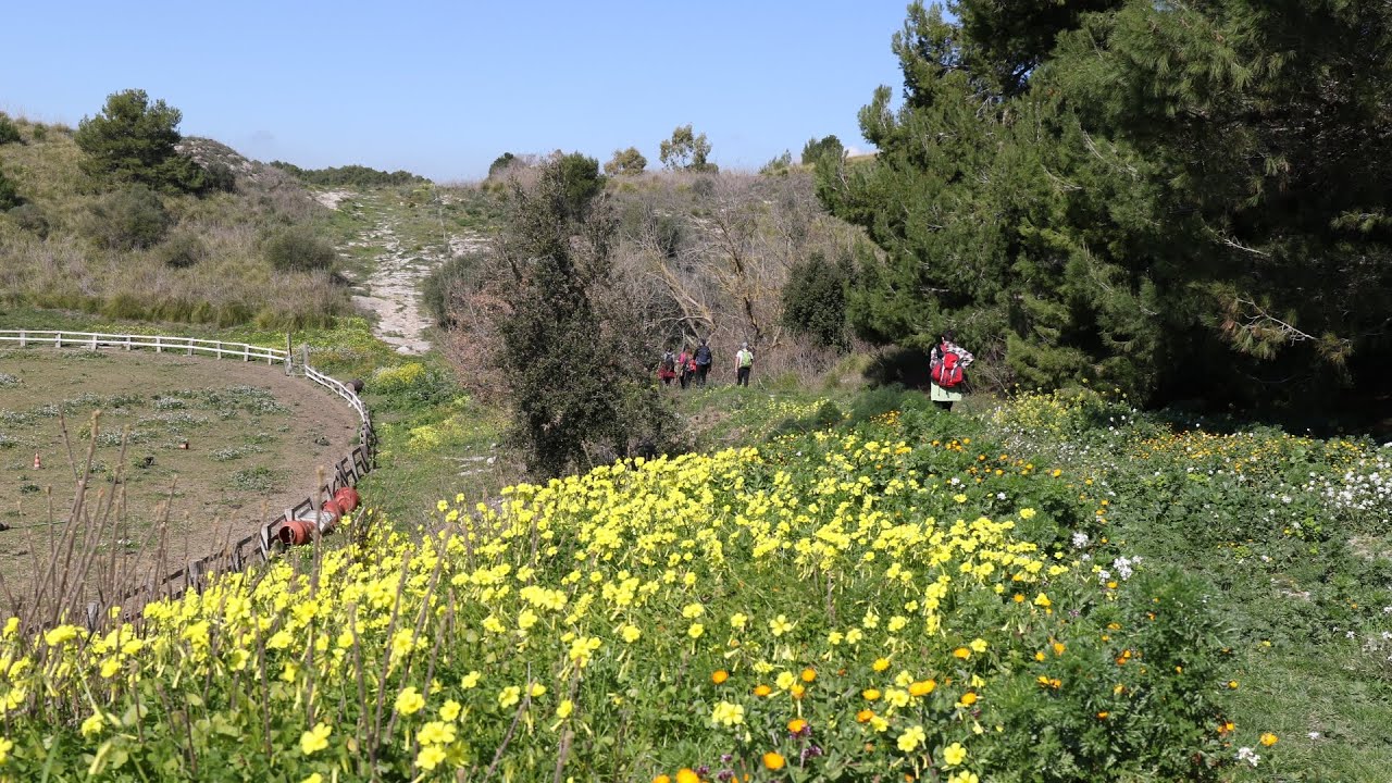 R. N. Grotta di Santa Ninfa