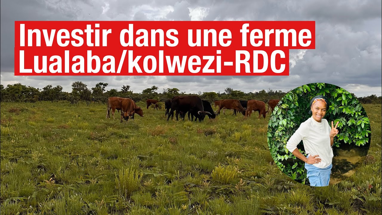 Investir dans une ferme au Lualaba/ kolwezi-RDC 