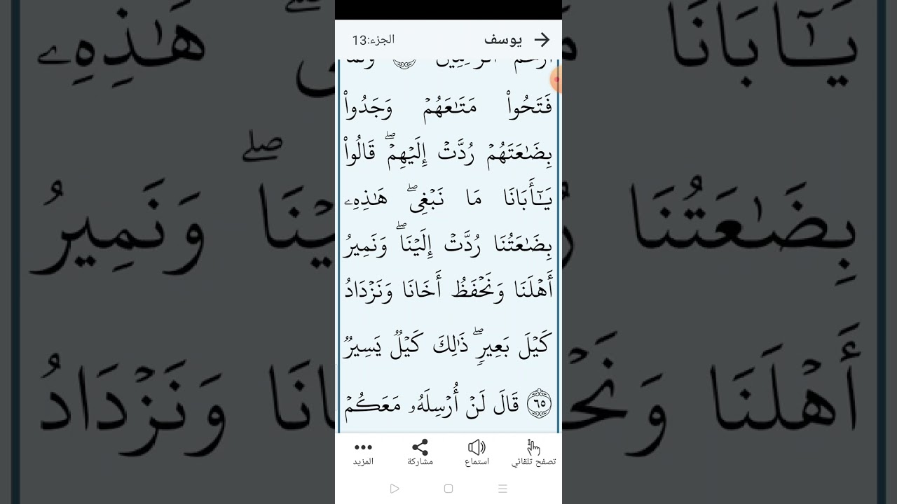 سورة يوسف صفحة (٢٤٣)