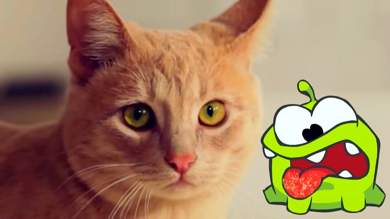 Om Nom - compilation season 1-  all episodes - funny cartoon