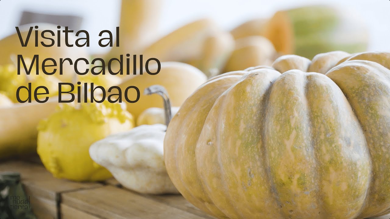 Visita al Mercadillo de Bilbao - Entrevista LIFE MENUdaTIERRA