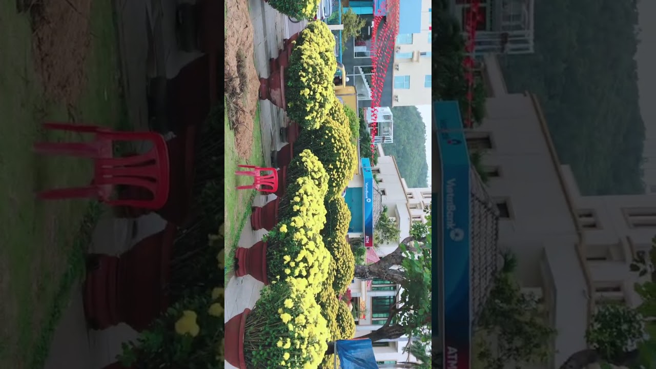 ngày 11 tháng 2, 2026