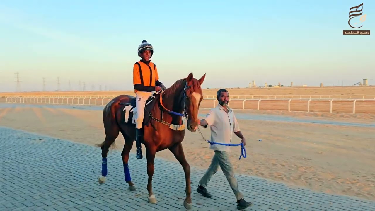 سـباق الخـيل  -  بمحافظة البدائع  12/ 5/ 1447 هـ