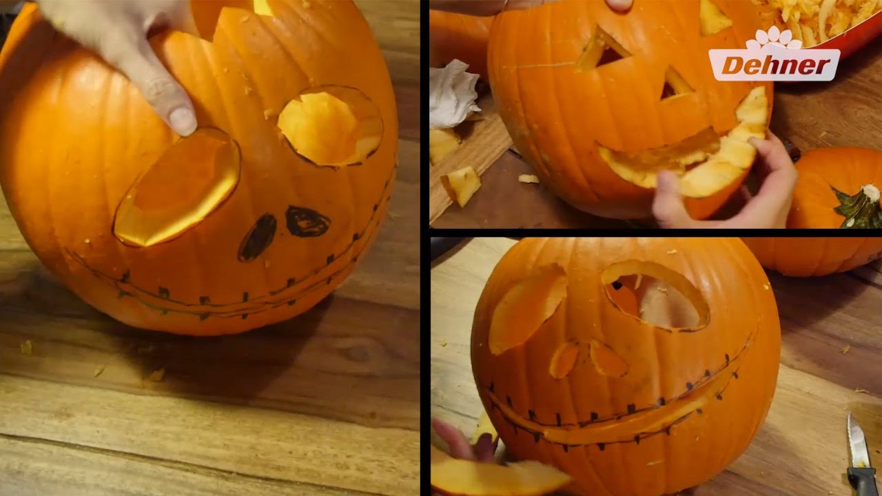Halloween 🎃 K&uuml;rbis schnitzen 🔪 Anleitung f&uuml;r schaurig-sch&ouml;ne K&uuml;rbis-Designs 👻