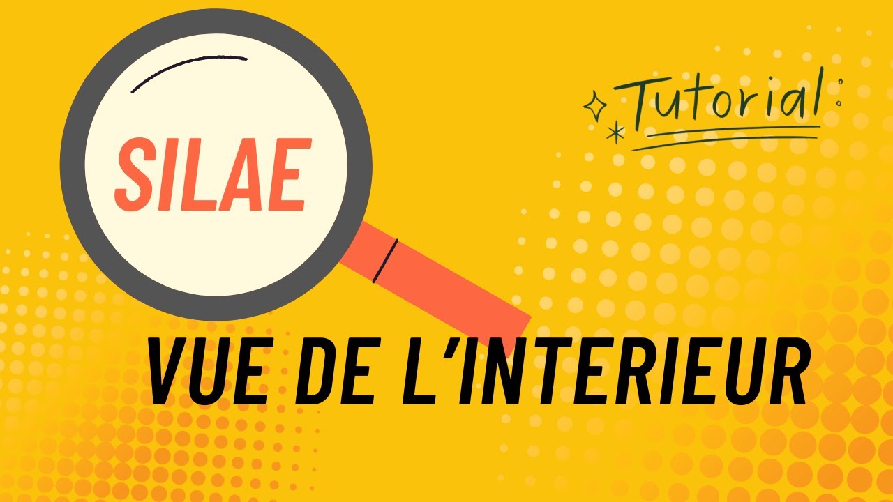 Tutoriel complet : je vous fais une démonstration du logiciel Silae