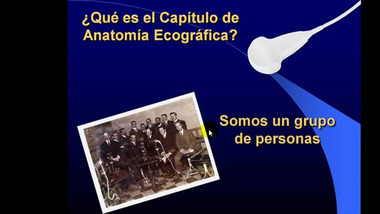 Anatomía Ecográfica [Presentación]