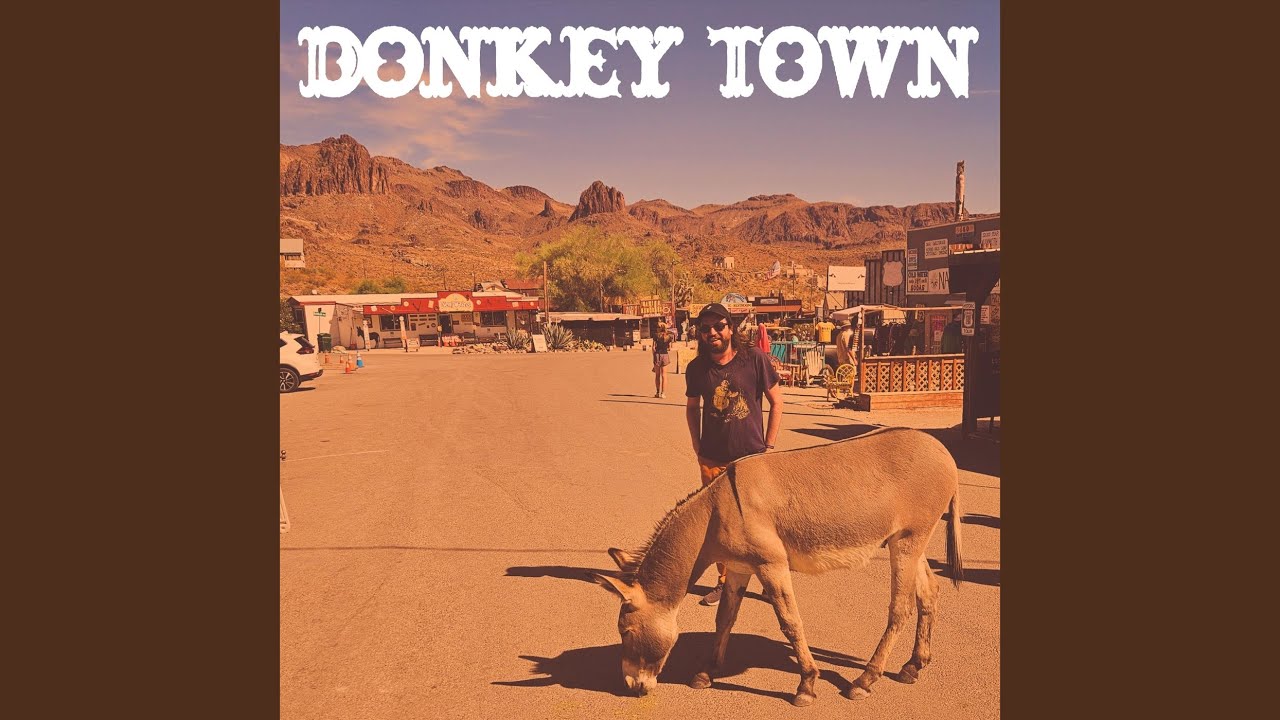 Donkey Town