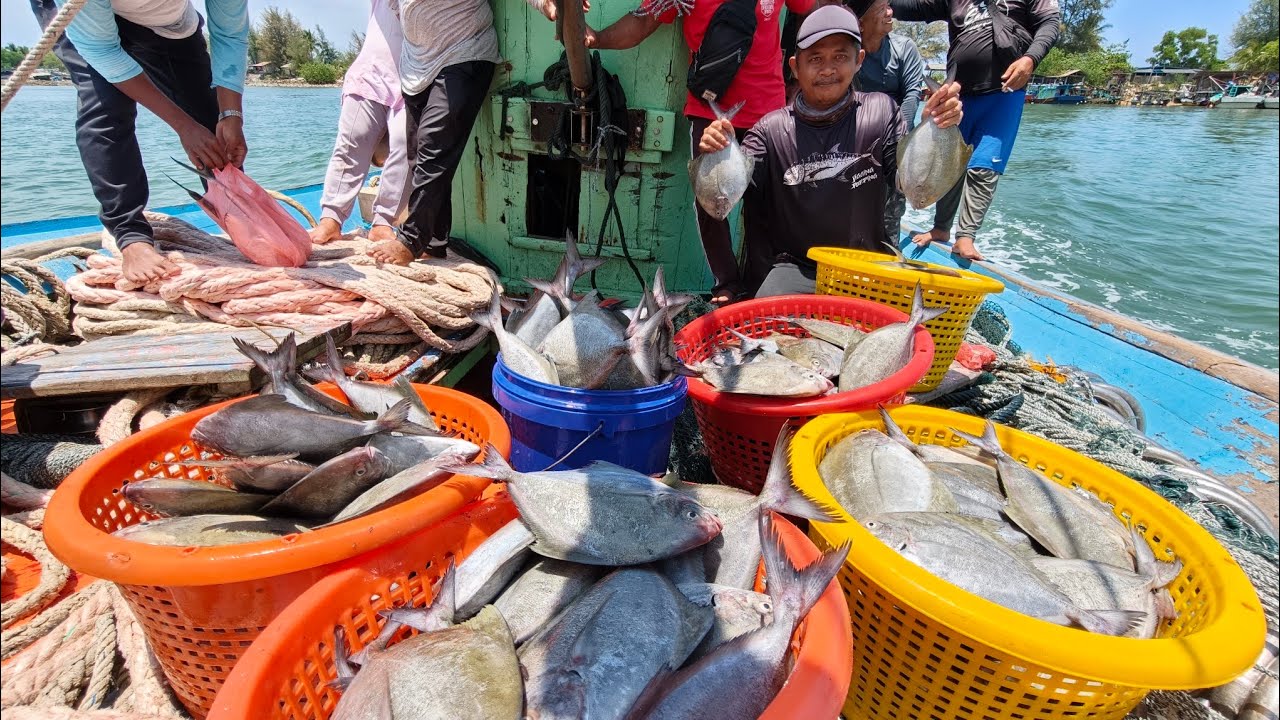 Challenge!&rdquo;&ldquo;Extreme Fishing Mission: Catching Black Pomfret in Clear Water & Heavy Currents!&rdquo;