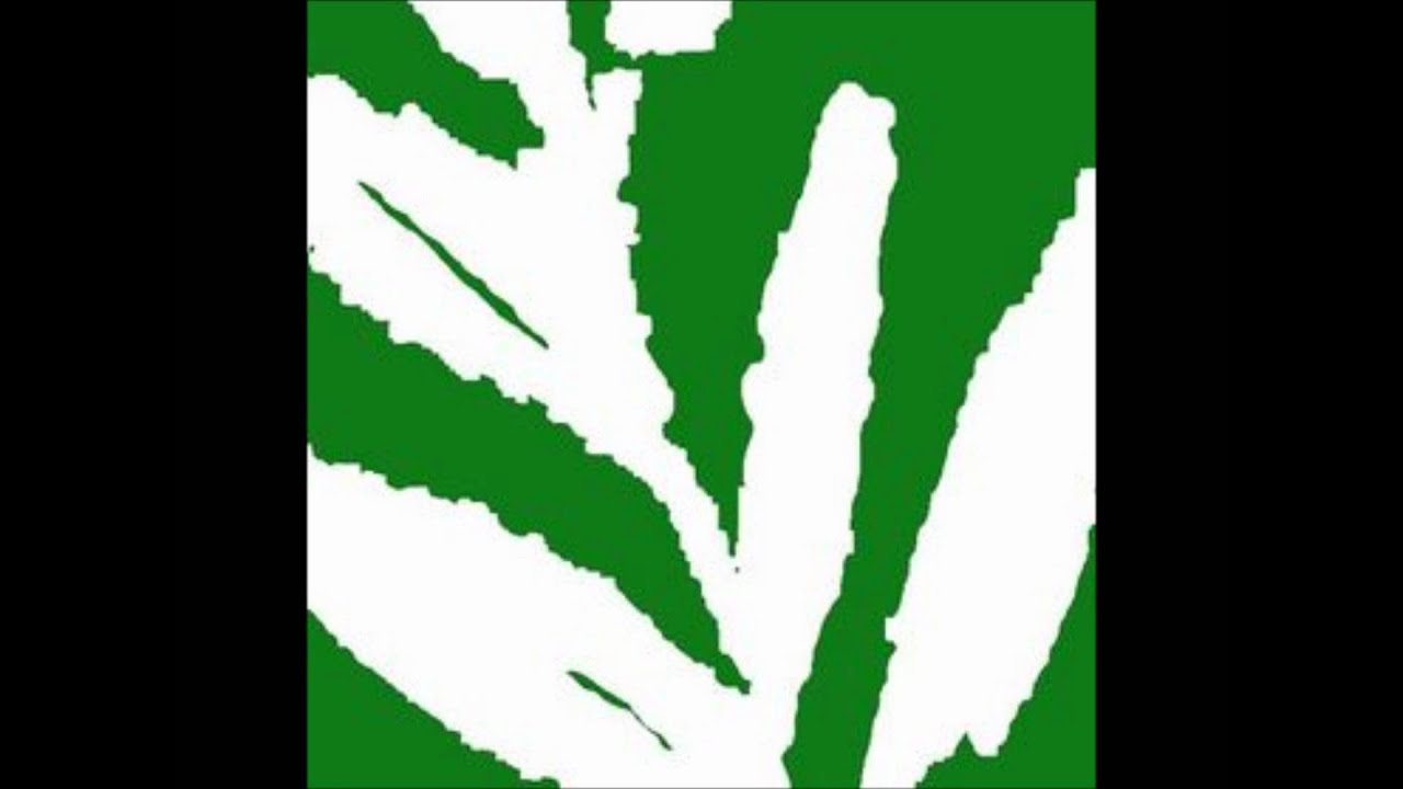 We Need Help - The Album Leaf
