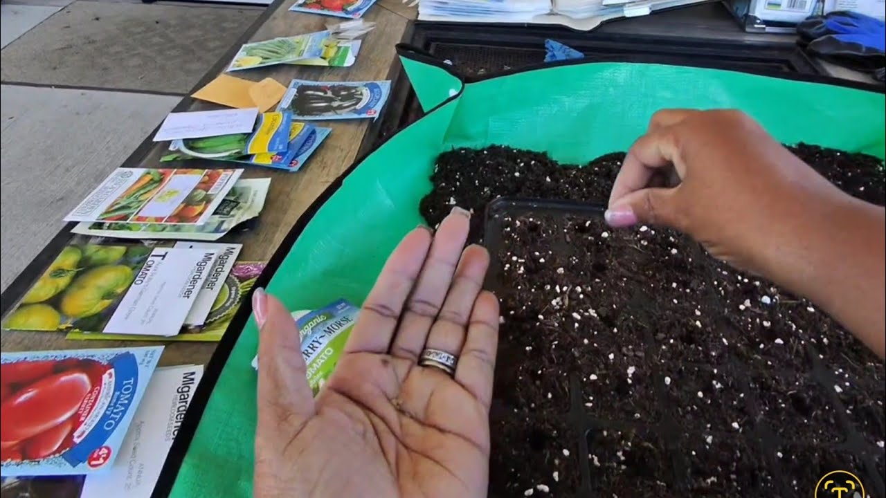 Dropping seeds...2026 garden.