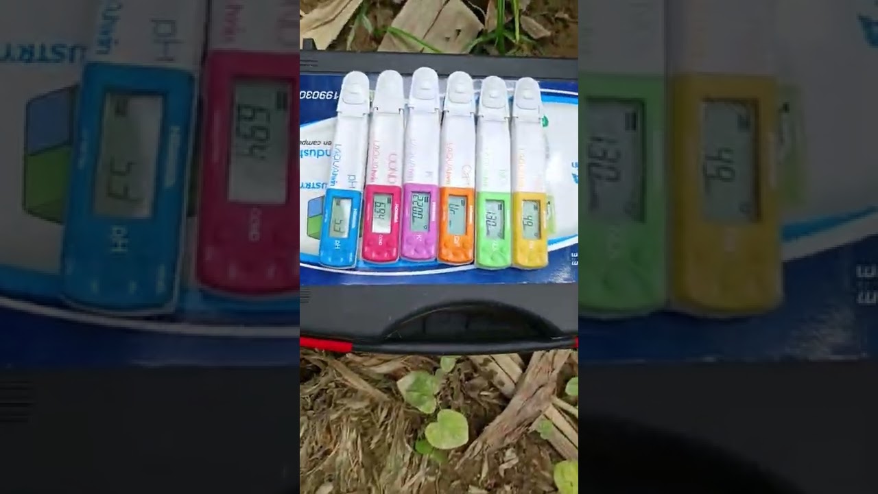 Interpretación del análisis de savia en banano
