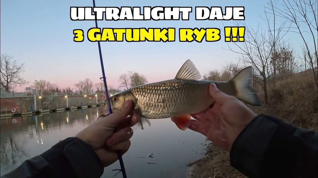ULTRALIGHT w MARCU SPINNINGOWANIE NA SZYBKO