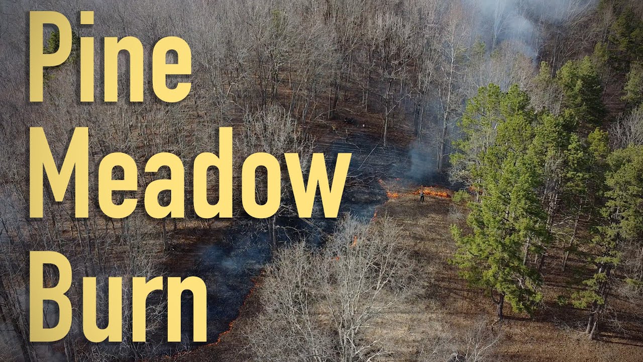 RESTORING a NATIVE MEADOW in Southern OHIO- Pine Meadow Ep. 1