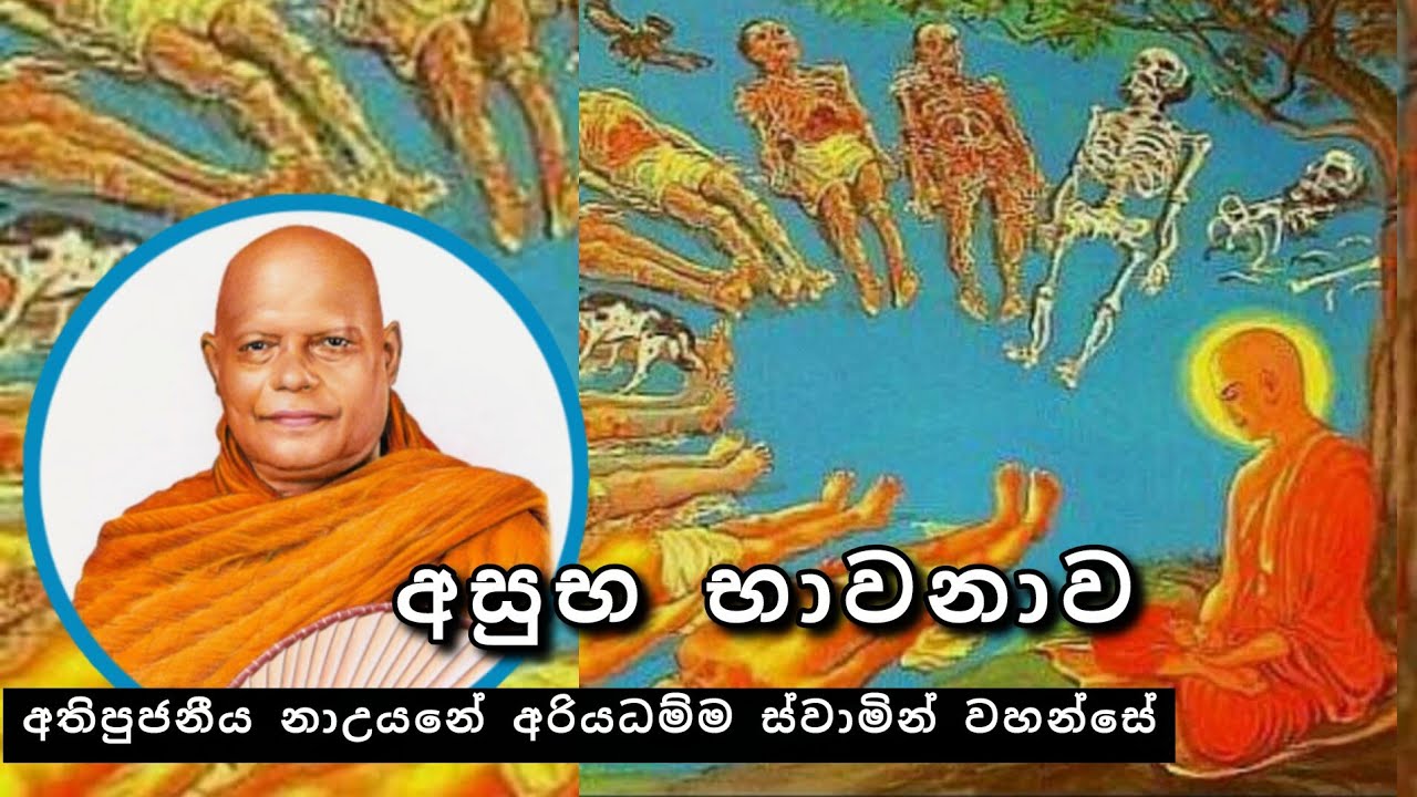 අසුභ භාවනාව |#212දේශනාව |#REVNAUYANE_ARIADHAMMA_THERO |2026.01.04