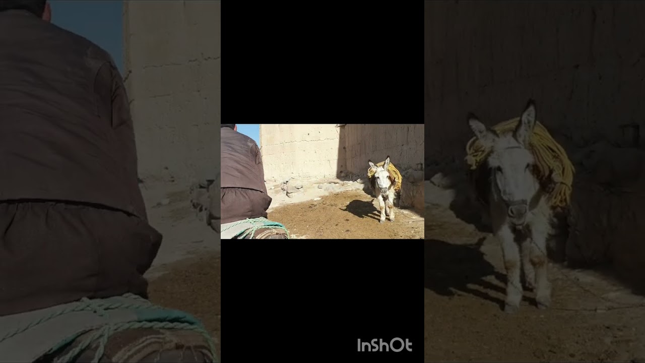 سخت ترین کار روستایی ها