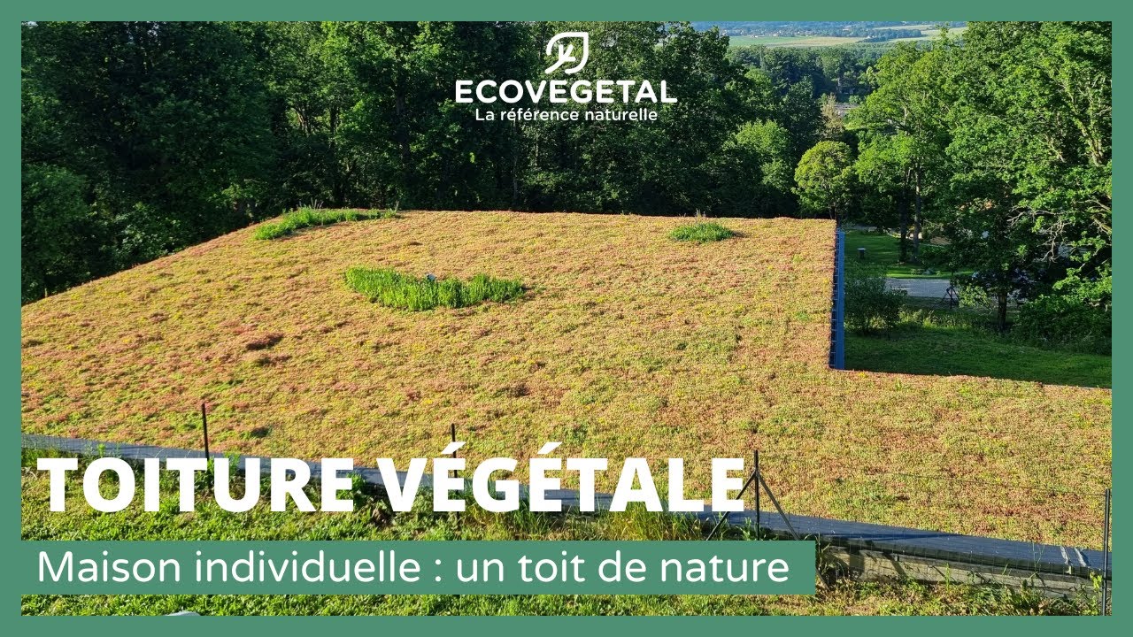 Maison individuelle : un toit de nature