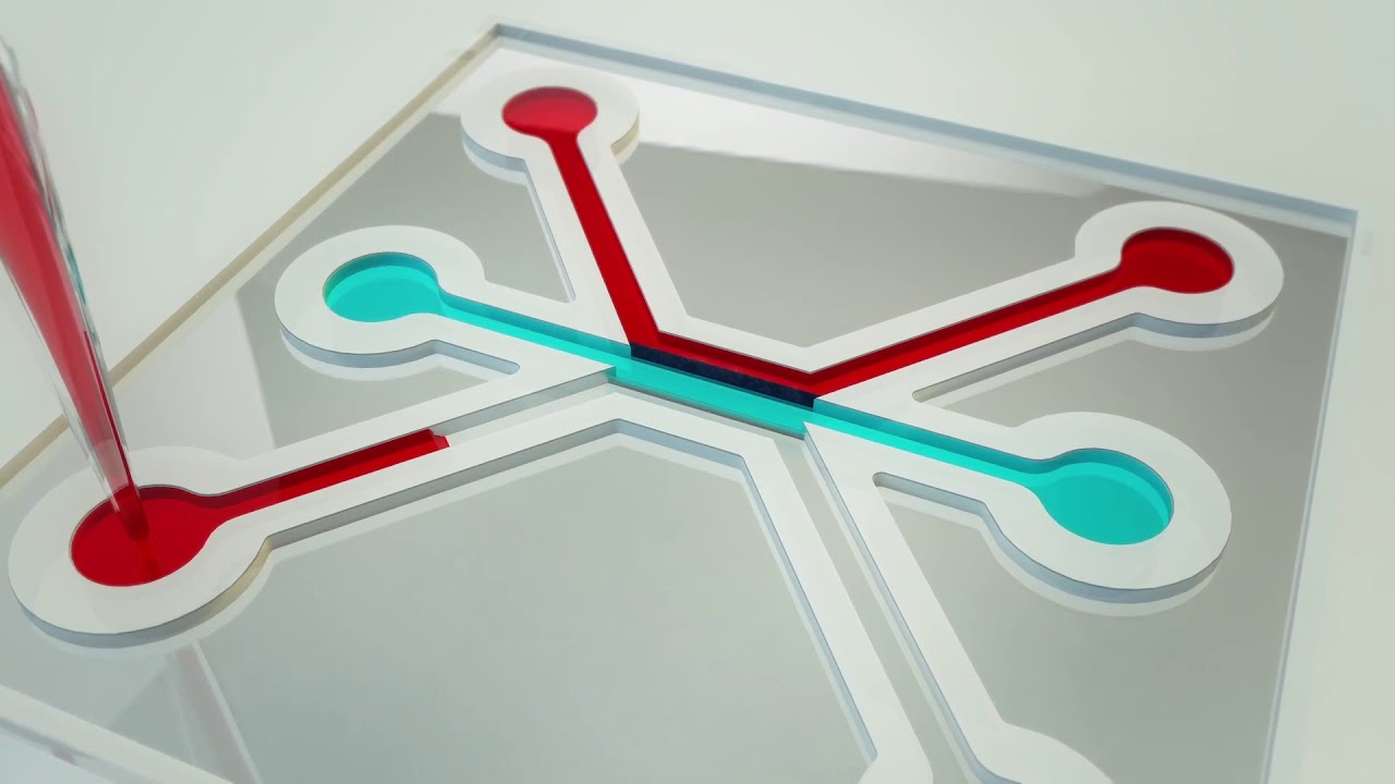 The OrganoPlate® 3-lane 40: Advanced 3D Tissue Modeling In Vitro