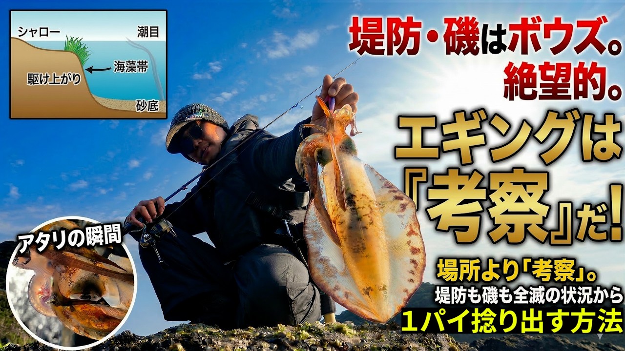 エギングは「場所」より「考察」。堤防も磯も全滅の状況から1パイを捻り出す春イカ攻略法