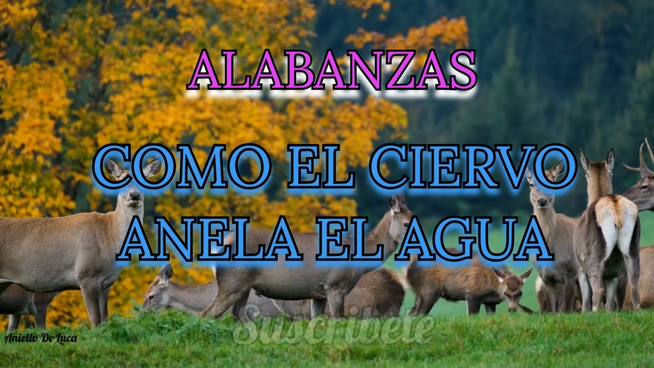 ALABANZAS, como el ciervo #musica #music #fe