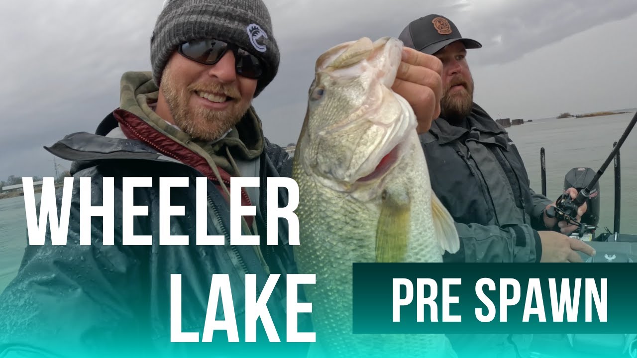 Mudline Stacks BASS на озере Уилер