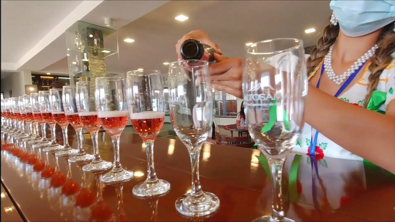 La RUTA del VINO 🍇🍷😋|| Tarija - Bolivia 🇧🇴 || Episodio 1