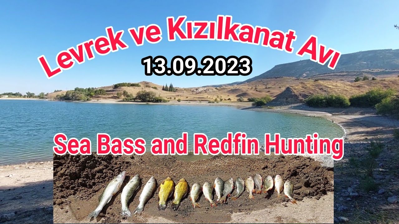 Levrek ve Kızılkanat Avı/ Sea Bass and Redfin Hunting | #caravanlife #perch #fishing #karavan #trips
