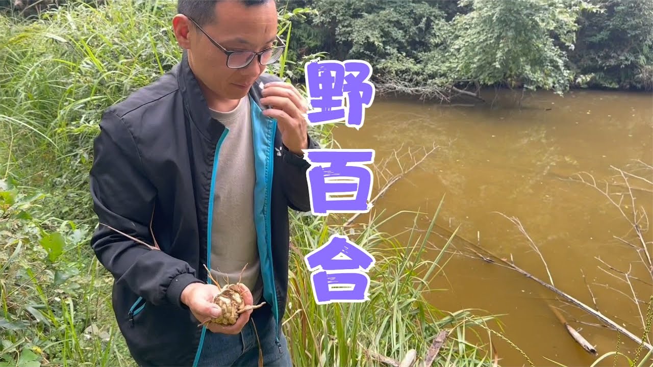 亮哥为了抓鱼忽悠阿恋，意外收获野生百合，阿恋却被长虫皮吓破胆