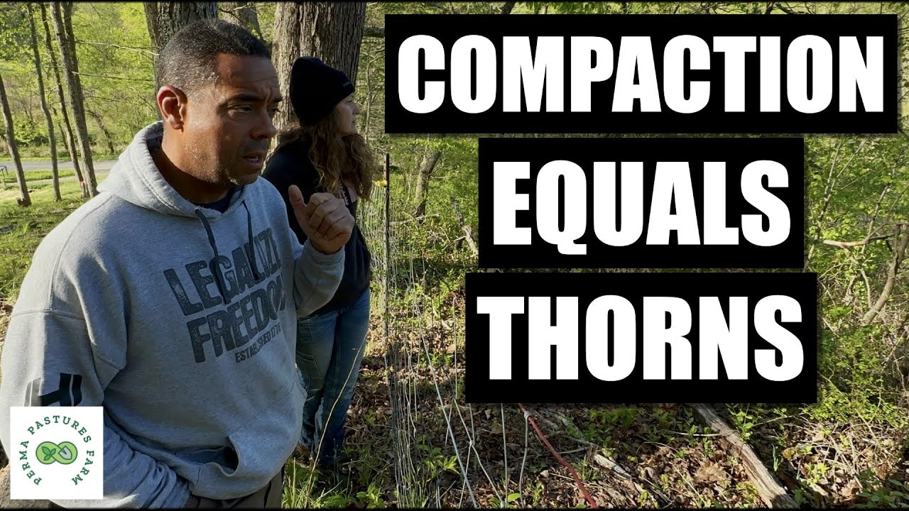 Fixing SUPER COMPACTED Soil