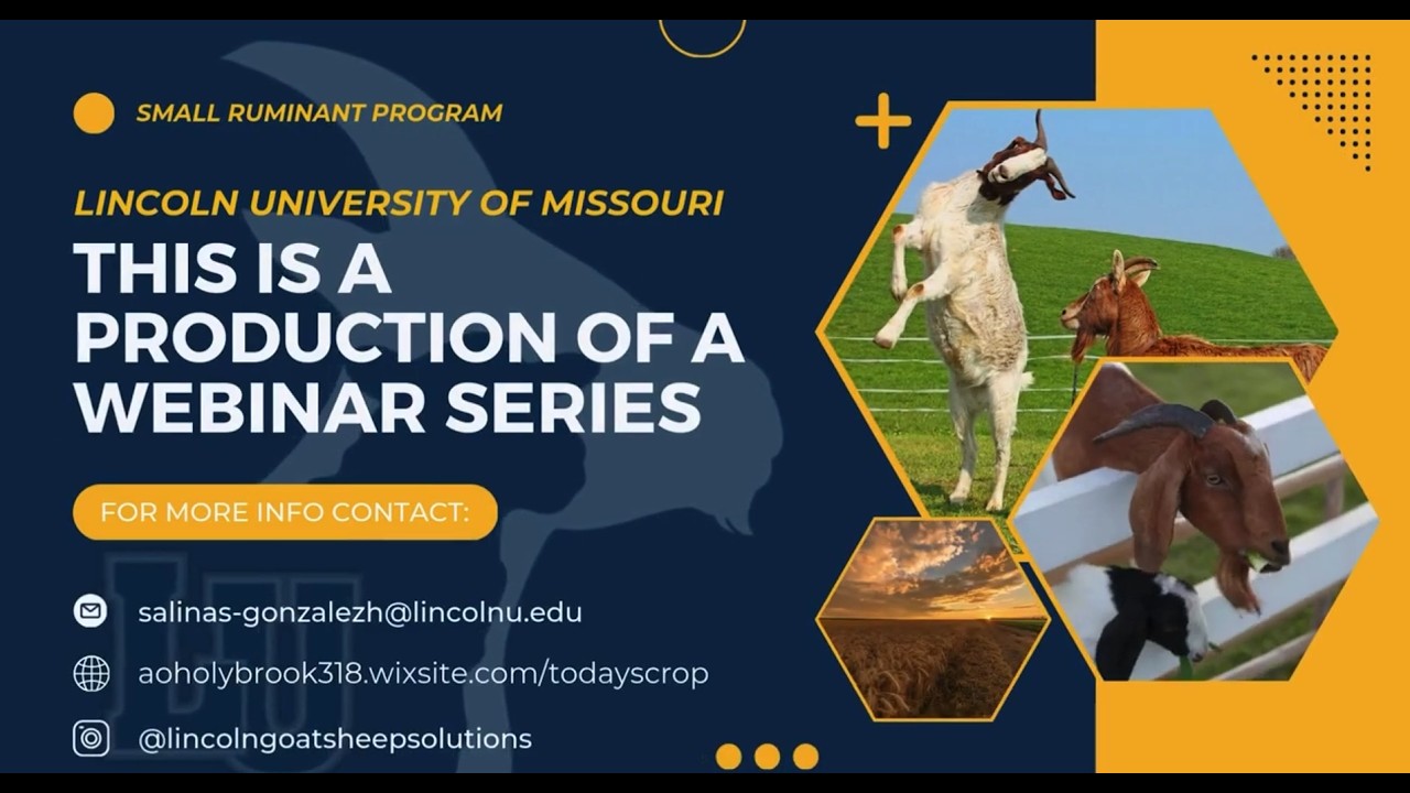 Topic 10. Reproductive diseases in sheep/goats.