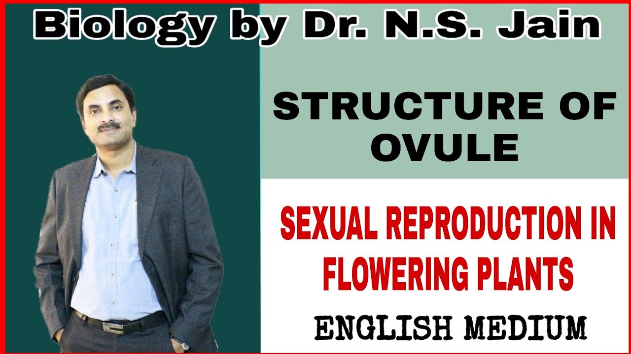 Structure of Ovule (Sexual Reproduction in Flowering Plants) | English Medium
