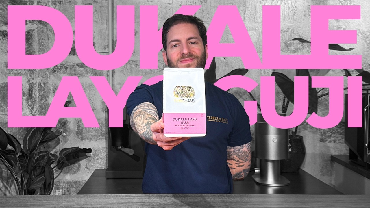 Recette Dukale Layo Guji (méthode Aeropress)