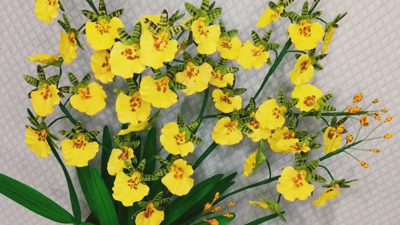 Orquídea Chuva de ouro em Eva. fácil e linda !