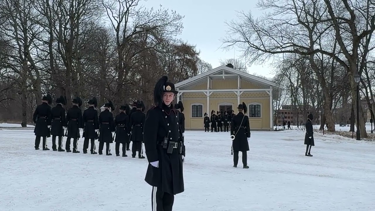 挪威🇳🇴皇宮衛兵交接