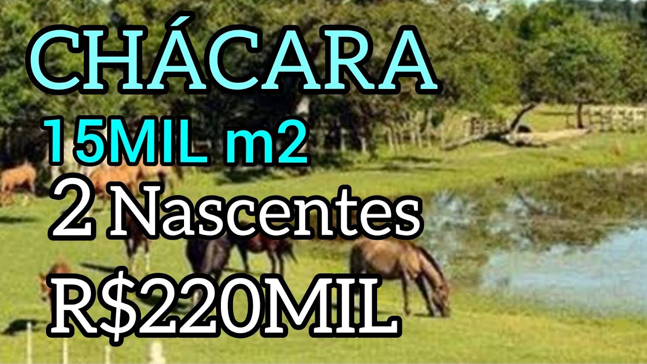 2 NASCENTES+15MIL METROS! IBAITI-PR R$220MIL ÓTIMA CHÁCARA! @chueireimoveis