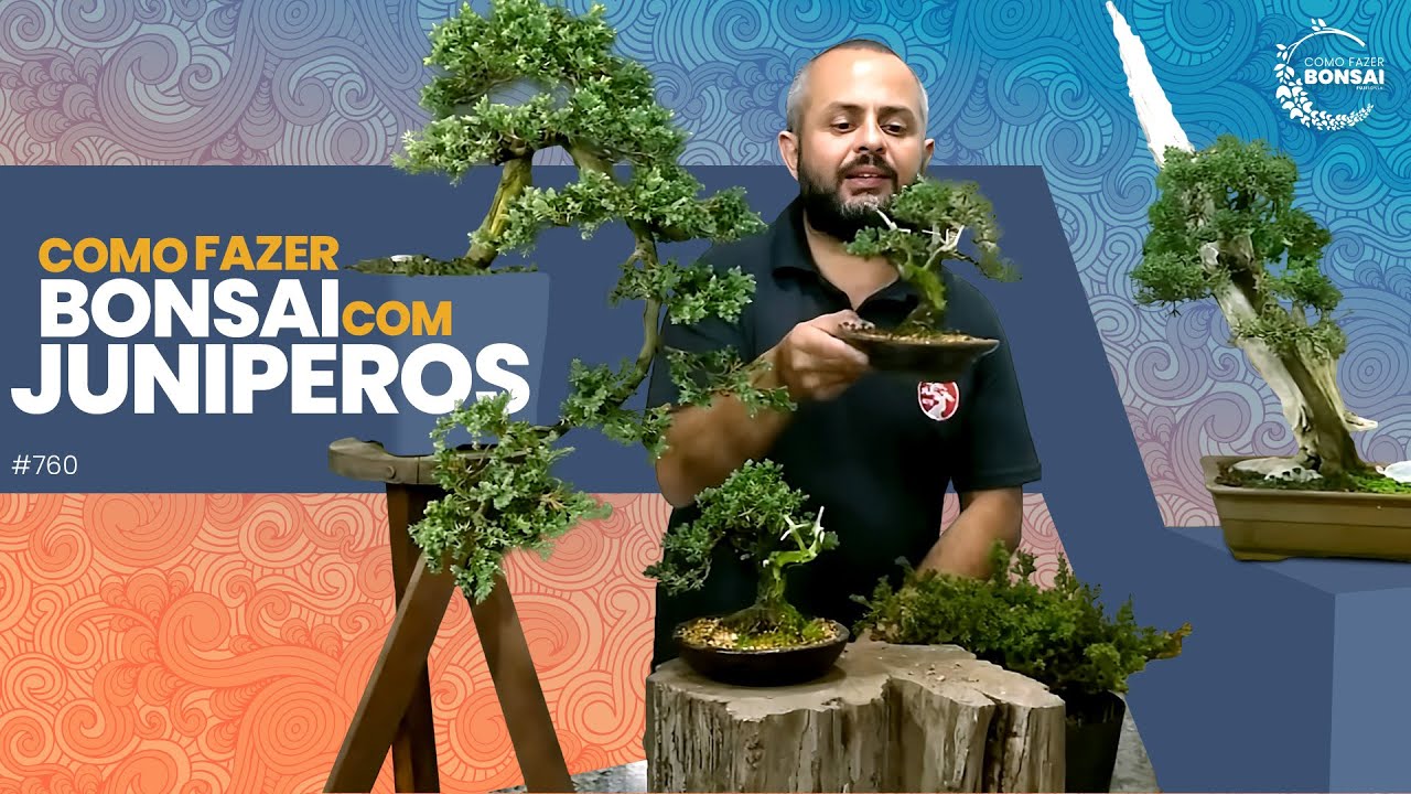 COMO FAZER BONSAI COM JUNIPERUS E QUAIS AS VANTAGENS DA ESPÉCIE  |  CFB #760